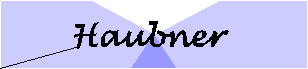 Logo: Haubner